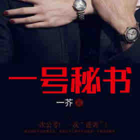 《《一号秘书（VIP版）》权利的棋局》全本小说下载-作者：一芥