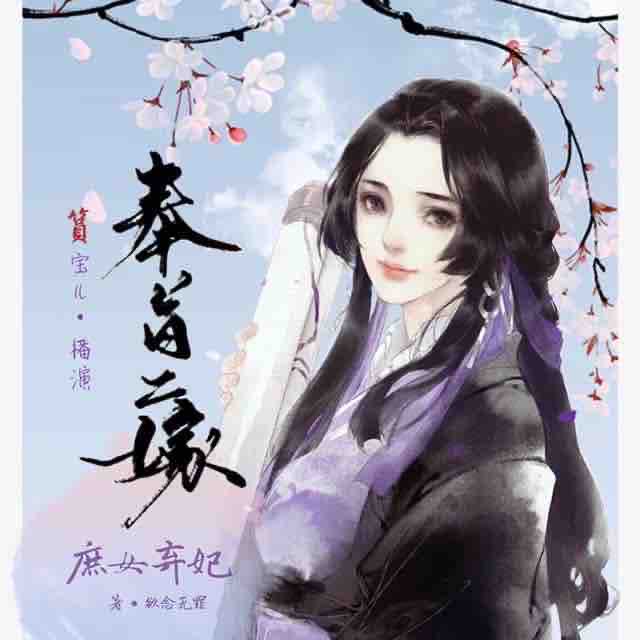 《《奉旨二嫁：庶女》篔宝儿演播有声小说》MP3打包下载-庶女,小说,纷争,主播,播有