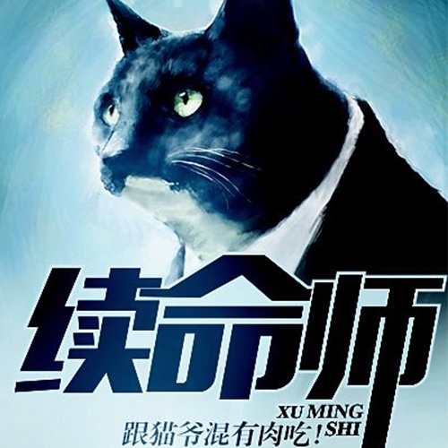 《《续命师》竹石文化播讲》完结版MP3有声有声小说打包下载-作者：颜七
